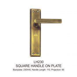 Square Handle on Plate