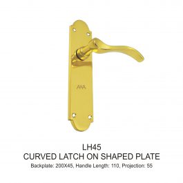 Curved Latch on Shaped Plate