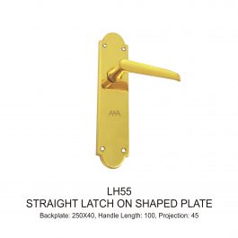 Straight Latch on Shaped Plate