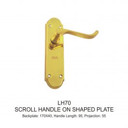 Scroll Handle on Shaped Plate